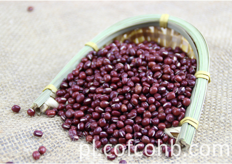 Czerwona fasola Red Bean